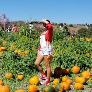 Meet your Posher, Dominique